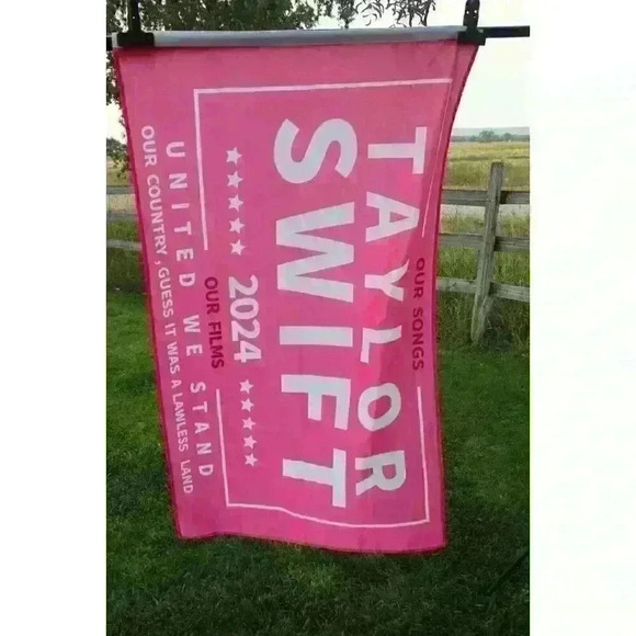 Taylor Swift 3’ X 5’ Save America Again 2024 Pink Banner Flag Room Decor Tic Toc - Picture 6 of 7